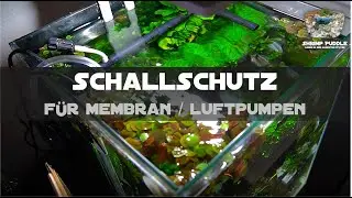 LAUTSTÄRKE REDUZIEREN BEI MEMBRANPUMPEN