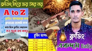 এই নিয়মে ব্রুডিং করুন ১টা বাচ্চাও মরবে না/ ব্রুডিং নিয়ে A to Z আলোচনা /ব্রুডিং /মিতু হ্যাচারী