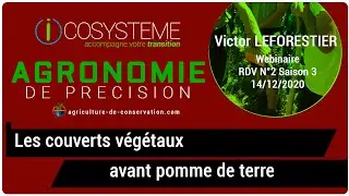 Agronomie de précision n°5 : Les couverts végétaux avant pomme de terre - Victor Leforestier