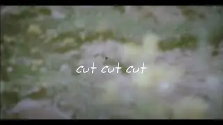 Silkat - cut cut cut (Lyric Video)