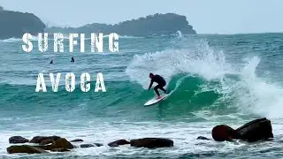 Avoca’s Best Surf - Central Coast NSW Australia