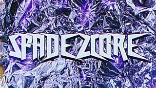 spadez - professional ft. the cataracs, ymtk & d.willz (sped up)