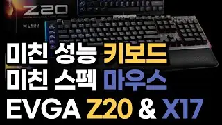 미친 스펙의 게이밍 기어, EVGA Z20 & X17 게이밍 키보드 마우스 추천, 리뷰, 타건, 후기