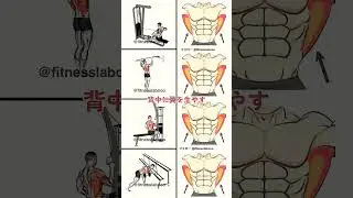 4 Gym Workout to Build Bigger Wings at Gym #shorts#wingsworkout #gym #short