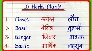 10 Herbs Plants Name in English and Hindi || Herbs Plants || Herbs Plant Name
