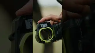 Дальномерный луковый прицел