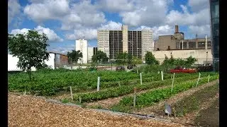 CHICAGO'S GROWING SOLUTION TO URBAN FOOD DESERTS