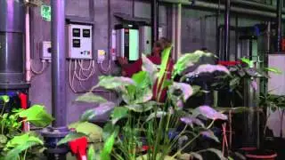 Danfoss VLT&reg; HVAC drives used in Randers Rainforest