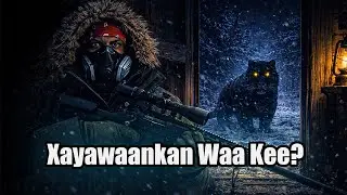 Xayawaankii Ugu Aargoosiga Xumaa Ayaa I Soo Weeraray