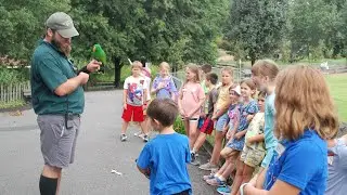 Summer Safari