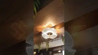MODERN RESTAURANT SUCCESSFUL PROJECT | INTERIOR DESIGN | INTERIOR FIT-OUT