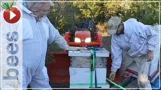 MOVING THE BEEHIVES - Creating A Bee Yard Part 3