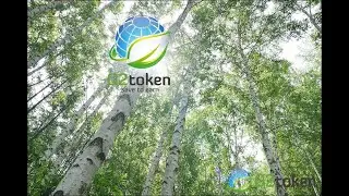 Start your oxygen mission with the O2 TOKEN app! Challenge a new oxygen goal every day.