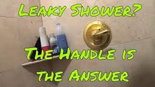 Delta Monitor 1400 series shower handle CHEAP repair for leaking shower head