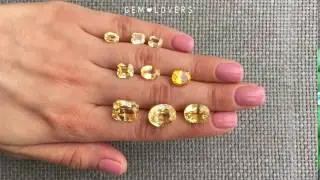 Коллекция желтых сапфиров Gem Lovers