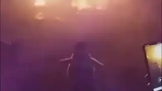 Penguin vibe