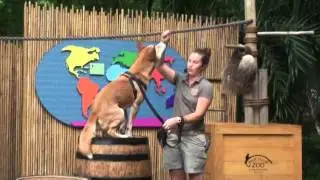 Palm Beach zoo