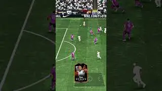 Clauss long shot