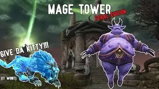Mage Tower Feral Druid Guide In 11.2.5 - No Cheese.