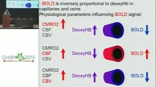 OHBM 2015 | Educational Course | Advanced fMRI Course Physics, Physiology, Models & Infe&hellip; | Part 4