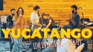 Yucatango - Why Don't (Live in Brussels 2023)