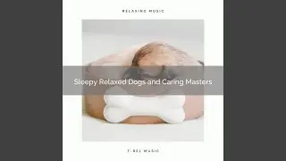Get the Stick, Dig Up the Bone and Sleep Tight