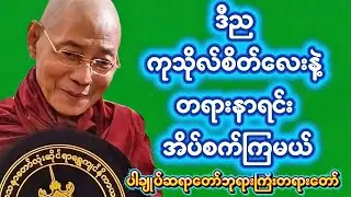 ဒီည ကုသိုလ်စိတ်လေးနဲ့ တရားနာရင်း အိပ်စက်ကြမယ် ။ပါချုပ်ဆရာတော်ဘုရားကြီးတရားတော်များ