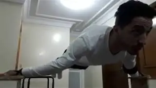Ultimate Maltese Motivation 3