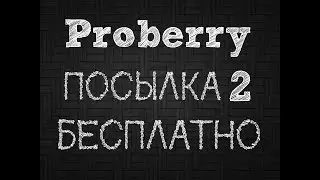 Моя вторая посылка от Proberry | Что это такое? | Выгодно ли?
