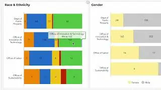Tutorial for Using the City of Philadelphia Workforce Diversity Dashboard