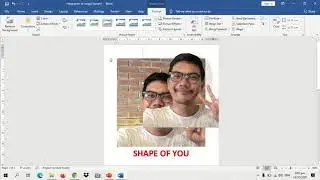 Integration of pictures in MS Word and Layout/Text Wrapping Options (Basic)