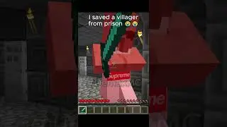 I helped a villager escape jail #MC #DemaxMC