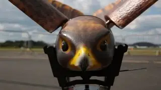 This robot bird might be the scarecrow of the future