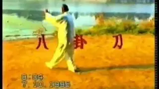 Cheng Style Bagua Dao   Wang HongSheng 程派八卦刀 王洪生