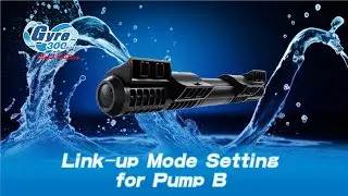 Maxspect Gyre 300 Cloud Edition - Link-up Mode Setting for Pump B