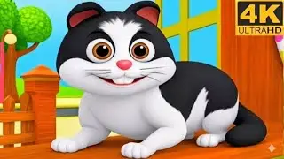  Meow Meow Billi Karti Meow | म्याऊँ म्याऊँ बिल्ली करती म्याऊँ | Cute Cat Hindi Rhyme |😺✨