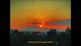 Sa&uacute;l Nicolas - Sediento (Visualizer)