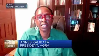 African NGO discusses what's behind the food crisis