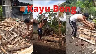 Pembelah Kayu Bakar Tradisional Menggunakan Kampak / Pecok