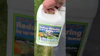 @TheRealLawnFather дает отличный совет по поводу того, как трава справляется с тепловым стрессом.
