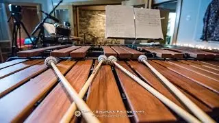 Echo Sessions 20:  Mike Dillon, Jim Loughlin, and Otto Schrang