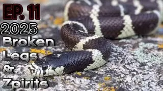 EP. 11 2025 - Broken Zpiritz... | Herping California (not finding zonata)