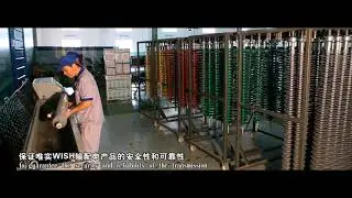 Composite Insulator