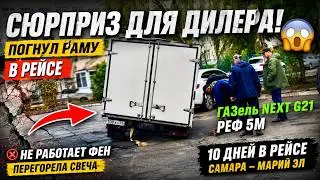 Фарма в Самару а Сыр из Марий Эл ГАЗель NEXT G2,5 Реф 5м
