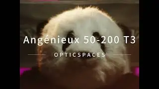 Test of the Vintage Angenieux 50-200 Zoom