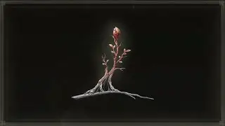 Sacramental Bud - Elden Ring