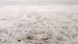 current situation head Taunsa barrage|Flood