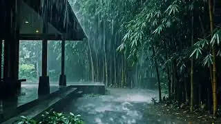 Heavy Rain ASMR Soundscape by Home Terrace and Green Bamboo Trees for Quiet Deep Sleep Night 100