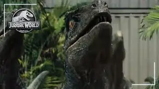 How Raptor Sound Effects Are Made | Behind The Scenes | Jurassic World