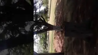 Sanjeevaiah park Hyderabad eco ride